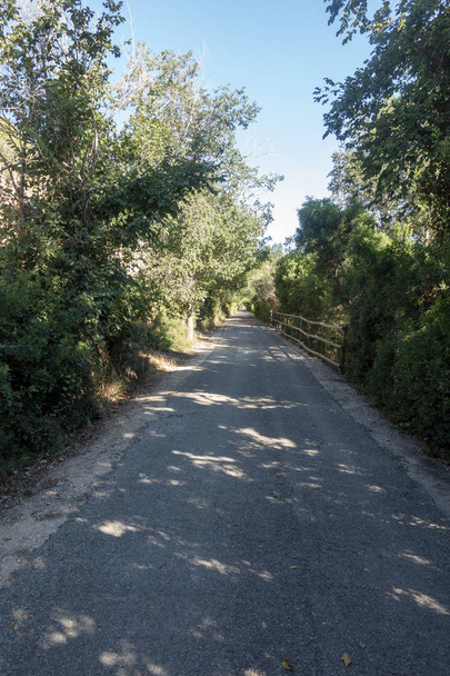 Ο πράσινος δρόμος του Έβρου στην Ταραγκόνα - Φωτογραφία, εικόνα