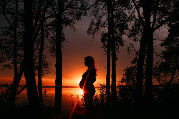 silhueta de perfil de mulher grávida fora do pôr do sol
  - Foto, Imagem