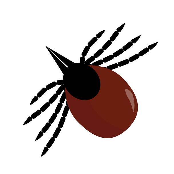 Tick parasite. Sketch of Tick. Mite. Tick on white background.Vector illustration - Vektor, Bild