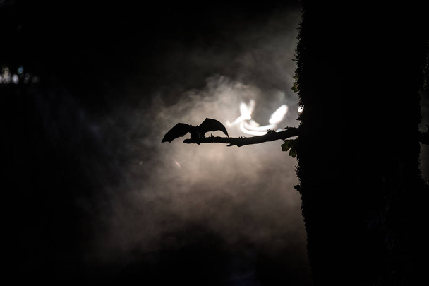 Horror Halloween concept. De vleermuis verspreidt zijn vleugels zittend op de boom bij Misty Night. - Foto, afbeelding