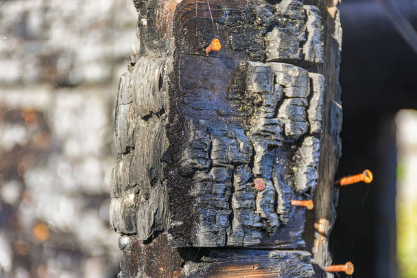 a textura da madeira queimada. os restos da casa queimada em th
 - Foto, Imagem