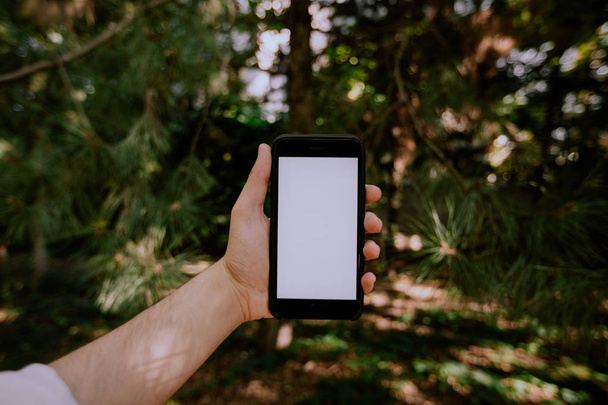 A hand holding a smartphone on a forest background - 写真・画像