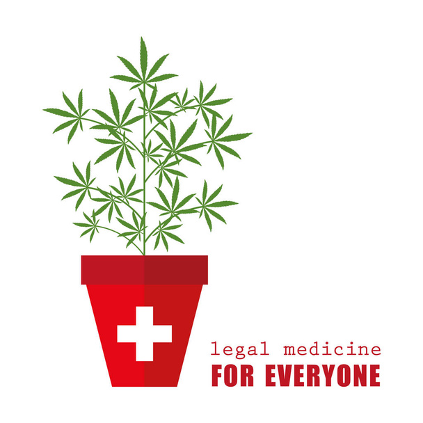 legal medical marijuana medicine for everyone plant cannabis in flowerpot - Vector, Image