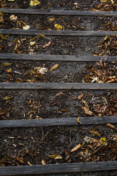 schodů - Fotografie, Obrázek