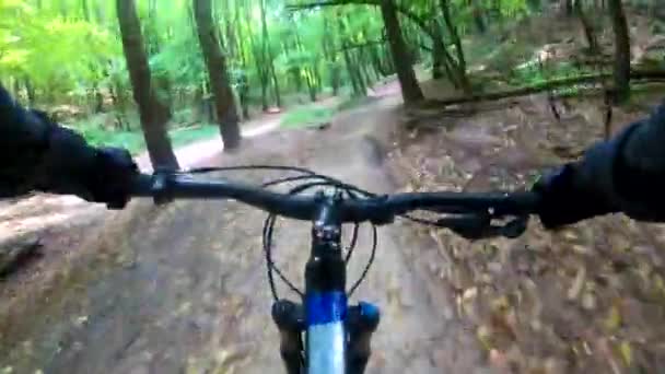 Jazda rowerem MTB na szlaku w sezonie letnim - Materiał filmowy, wideo