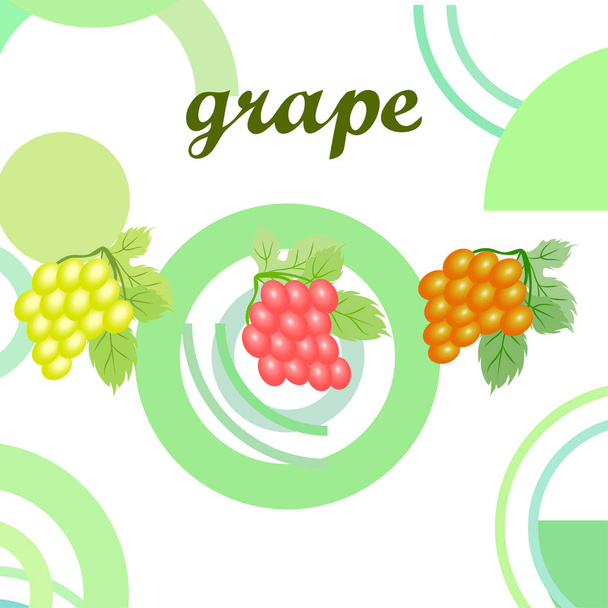 Grape with leaf. Vector elements for design - Vektör, Görsel