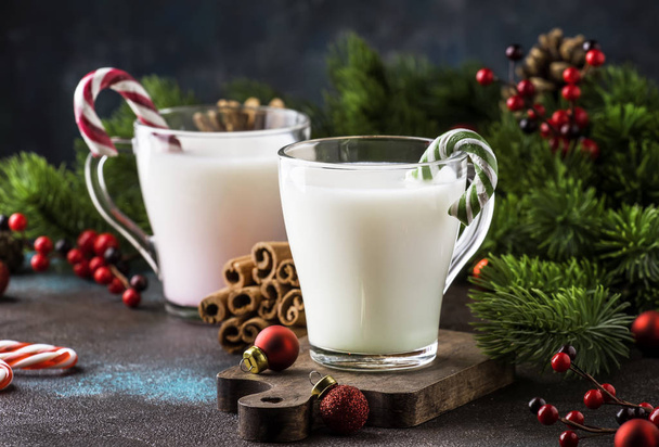 Hot winter white drink with candy sticks, Christmas or New Year decorations, dark background, rustic style, copy space - Φωτογραφία, εικόνα