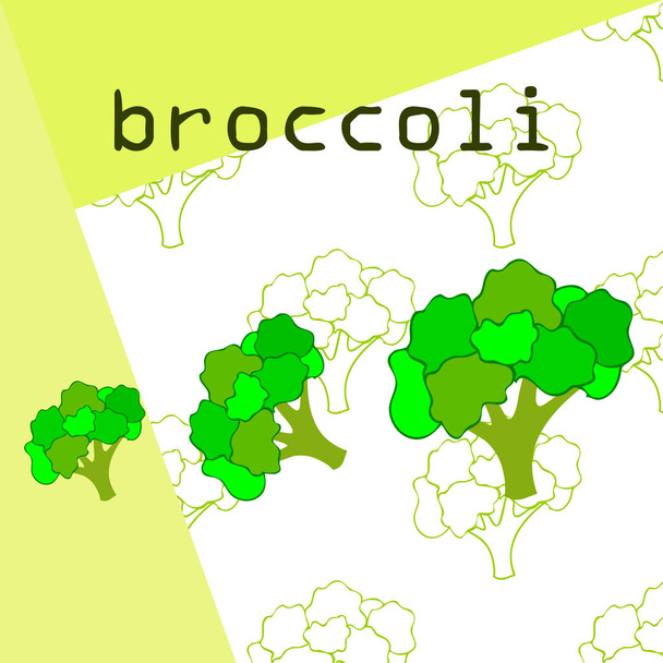 Brokoli, taze sebze. Organik gıda posteri. Çiftçi pazarı tasarımı. Vektör arkaplanı. - Vektör, Görsel