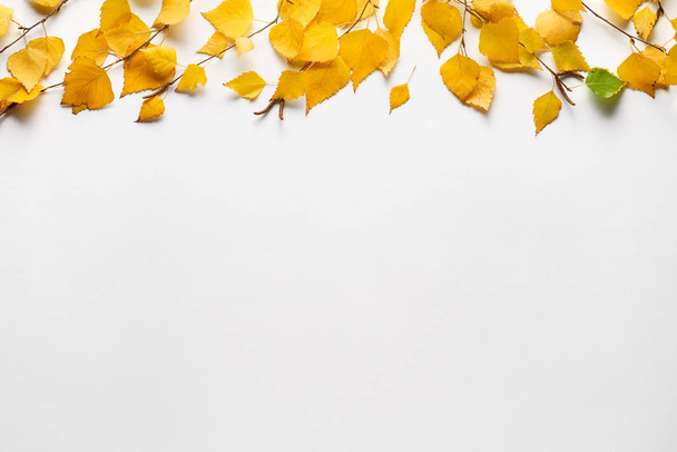 Beyaz sonbahar yaprakları ile Arka plan - Fotoğraf, Görsel