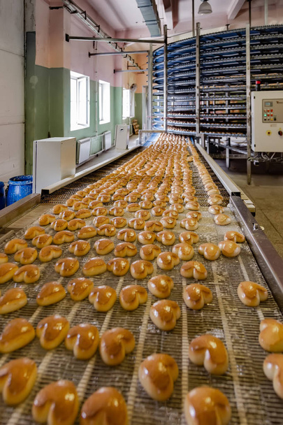 Baked cookies on conveyor belt. Automated cookies and cakes bake - Photo, Image