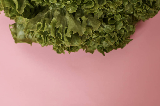 Fresh salad leaves on pink background, diet concept. - Valokuva, kuva