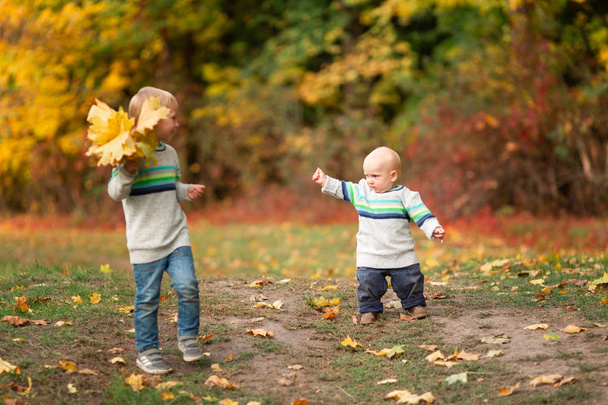 Happy little boys with autumn leaves in the park - Photo, image