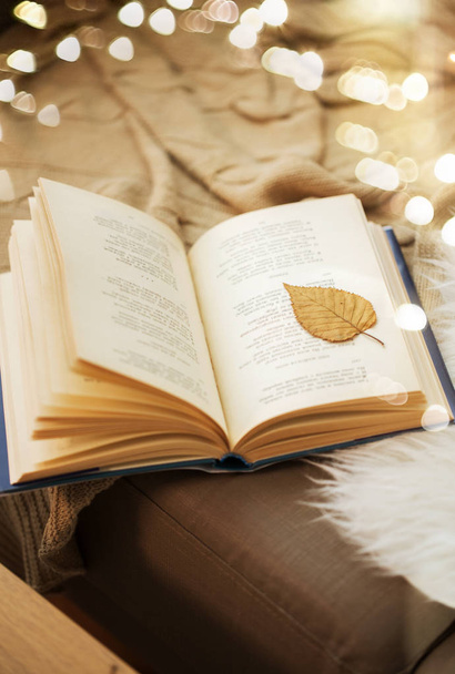 book with autumn leaf on page on sofa at home - Foto, imagen