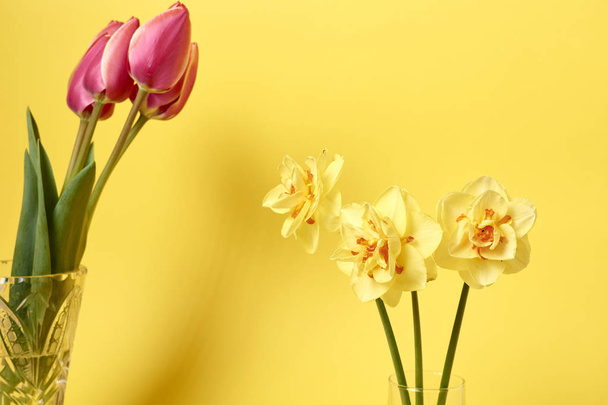 bouquet of beautiful tulips and daffodils in vases on yellow background, celebration concept   - Foto, imagen