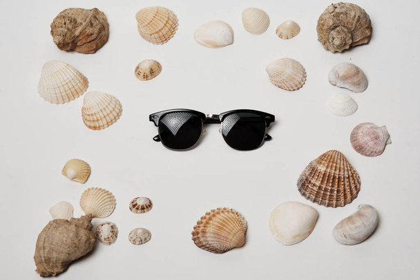 Stylish sunglasses on white background with seashells - Fotó, kép