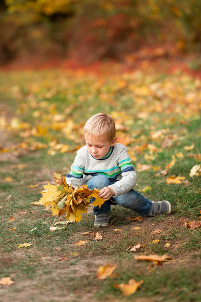 Szczęśliwy mały chłopiec z jesiennych liści w parku - Zdjęcie, obraz