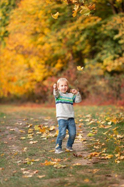 Happy little boy with autumn leaves in the park - Fotoğraf, Görsel