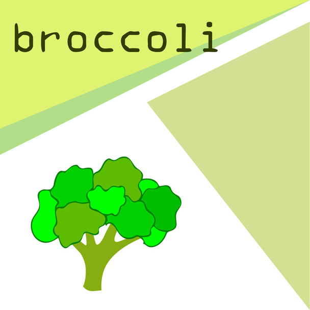 Broccoli, fresh vegetable. Organic food poster. Farmer market design. Vector background. - Vektor, kép