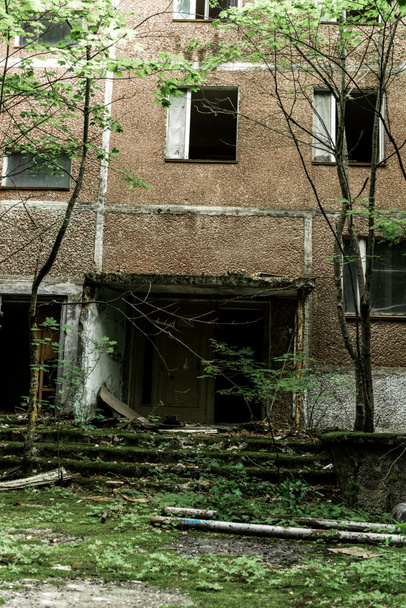 opuštěná hnědá budova s plísní na schodech u zelených stromů v Černobylu  - Fotografie, Obrázek