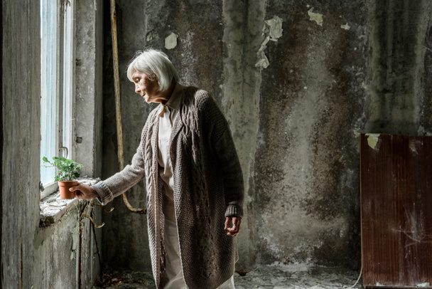 старша жінка кладе рослину в горщик у порожній кімнаті біля вікна
  - Фото, зображення