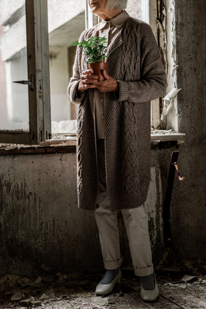 vista recortada de la mujer mayor sosteniendo planta mientras está de pie en la habitación cerca de las ventanas
  - Foto, Imagen