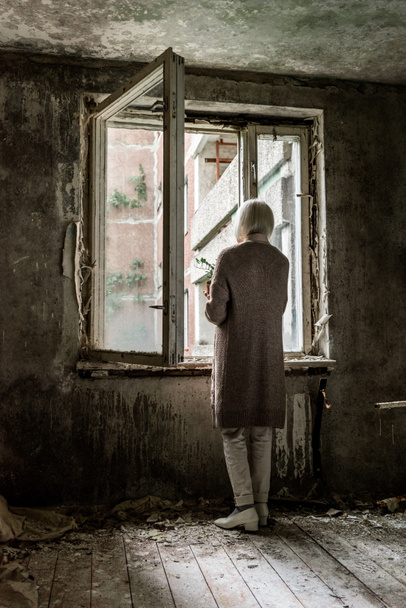 pohled na starší ženu v místnosti v blízkosti oken  - Fotografie, Obrázek