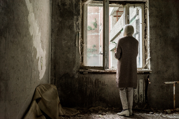 Rückansicht einer Rentnerin mit Pflanze in leerem Raum neben Fenstern  - Foto, Bild