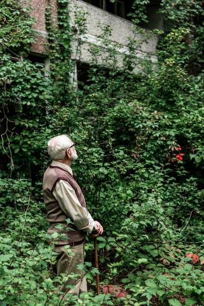 starší muž, který se dívá na dům zarostlý listy - Fotografie, Obrázek
