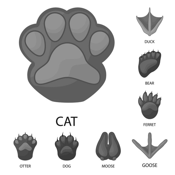 Isolated object of wildlife and trace symbol. Collection of wildlife and walk stock symbol for web. - Vector, Image
