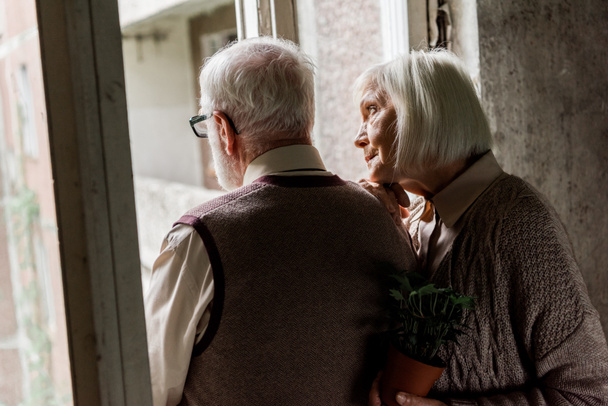selective focus of senior woman holding green plant and standing with husband near windows  - Photo, Image