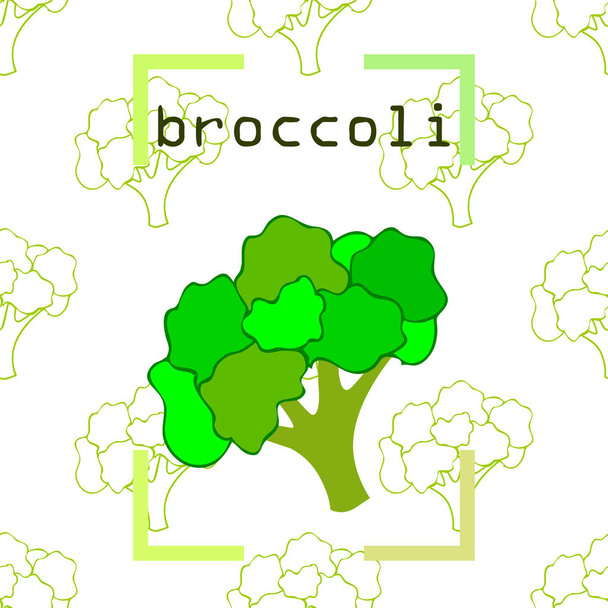 Broccoli, fresh vegetable. Organic food poster. Farmer market design. Vector background. - Вектор,изображение