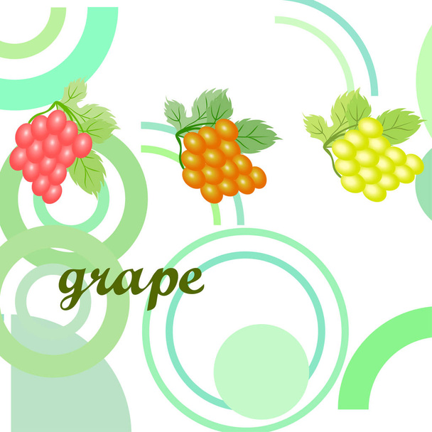 Grape with leaf. Vector elements for design - Vector, Imagen