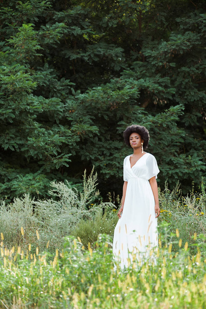enfoque selectivo de hermosa chica afroamericana en el campo con flores silvestres
  - Foto, Imagen