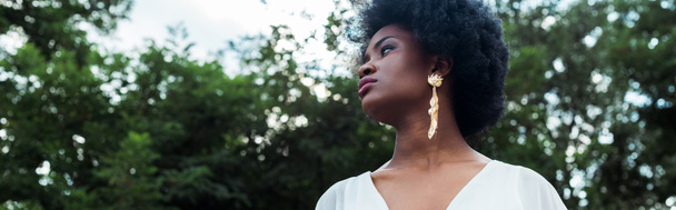 plan panoramique de belle et frisée afro-américaine fille
  - Photo, image