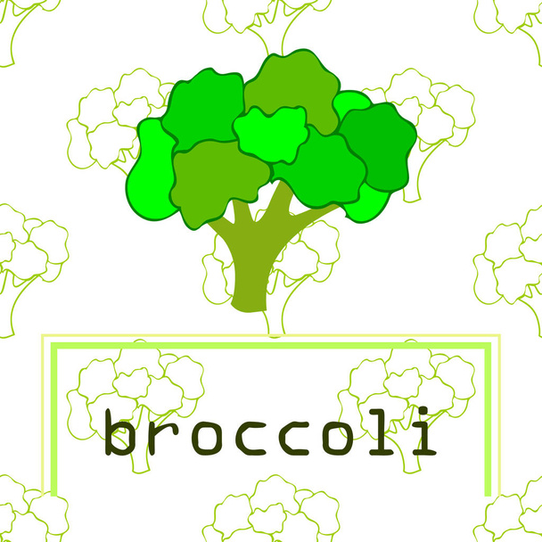 Broccoli, fresh vegetable. Organic food poster. Farmer market design. Vector background. - Vector, Image
