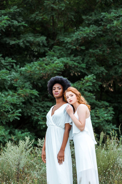 attractive african american and redhead girls in field   - 写真・画像