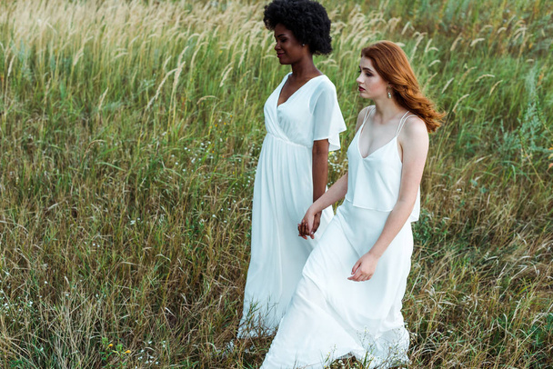  young and pretty multicultural women walking in green field  - Photo, image