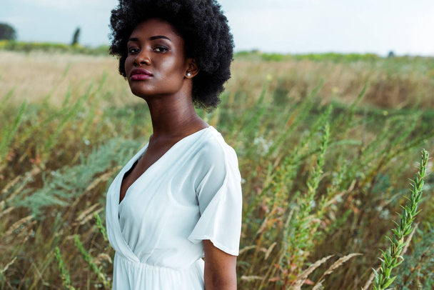 selective focus of curly and pretty african american woman in grassy field  - Фото, изображение