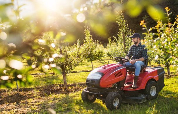A mature farmer driving mini tractor outdoors in orchard. - Valokuva, kuva