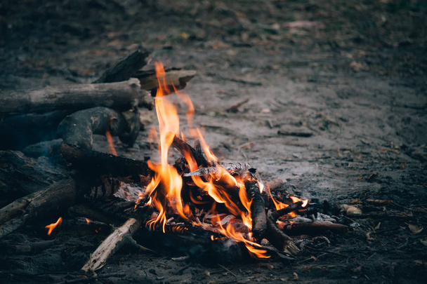森の中で夜の焚き火のオレンジ色の炎のクローズアップ、自然の中でピクニック、選択的な焦点 - 写真・画像