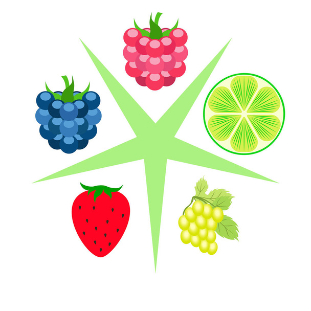 blackberry raspberry grapes strawberry lime b - Vector, afbeelding