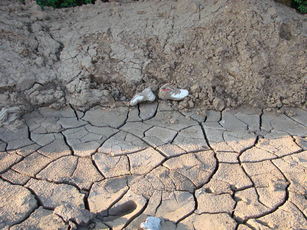 Szárított Repedt föld talaj textúra háttér. mintás napos szárított földfelszín - Fotó, kép