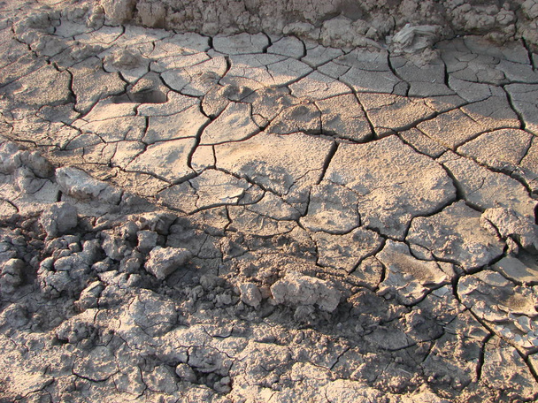 Szárított Repedt föld talaj textúra háttér. mintás napos szárított földfelszín - Fotó, kép