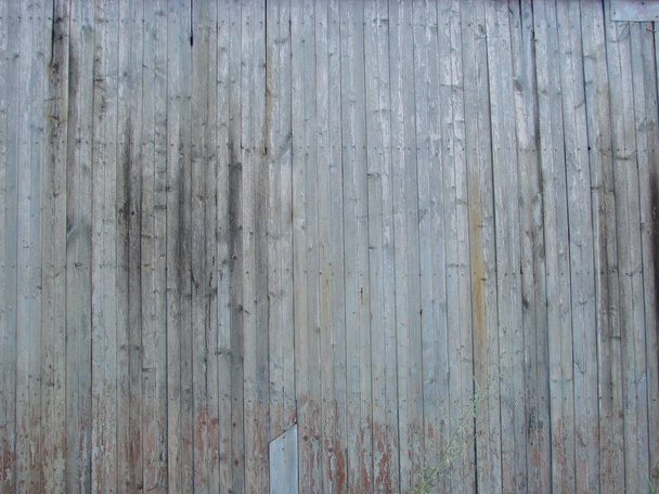 évjárat fa háttér textúra csomókkal - Fotó, kép
