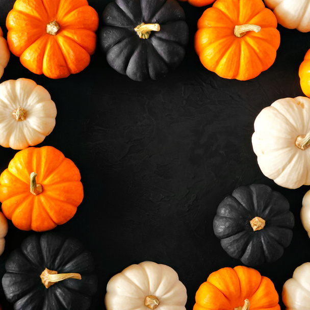 Marco cuadrado de calabaza de otoño en colores de Halloween naranja, blanco y negro sobre un fondo de piedra negro. Copiar espacio
. - Foto, Imagen