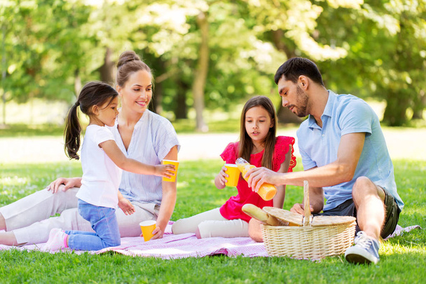 family drinking juice on picnic at summer park - Fotó, kép