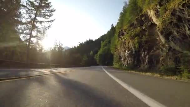 Pinos a lo largo de la carretera de montaña con acantilado musgoso
 - Metraje, vídeo