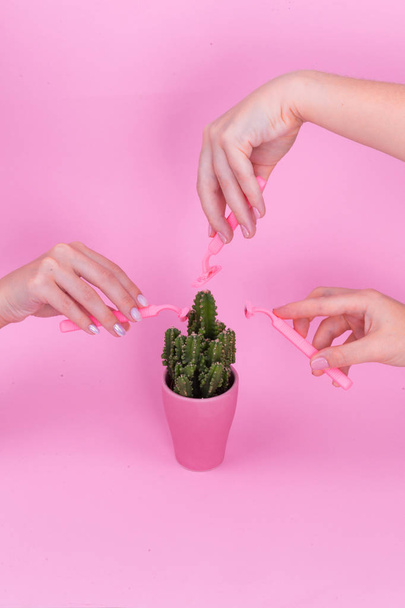 Three hands on a pink background shave a cactus in a pink pot. - Foto, Bild