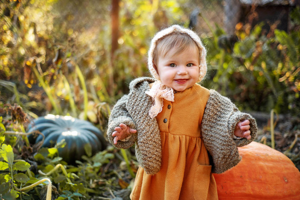 laughing adorable baby girl with a pumpkin - Fotografie, Obrázek
