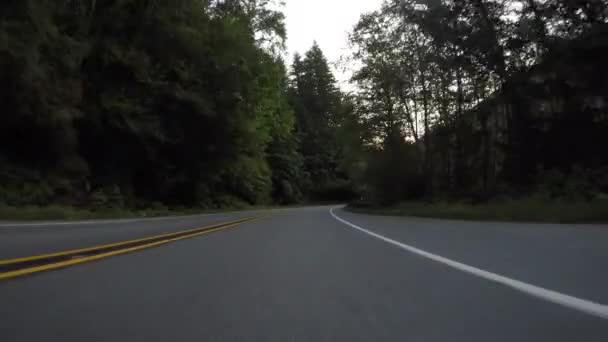 Curvas de carretera a la derecha y luego a la izquierda a través del bosque
 - Metraje, vídeo